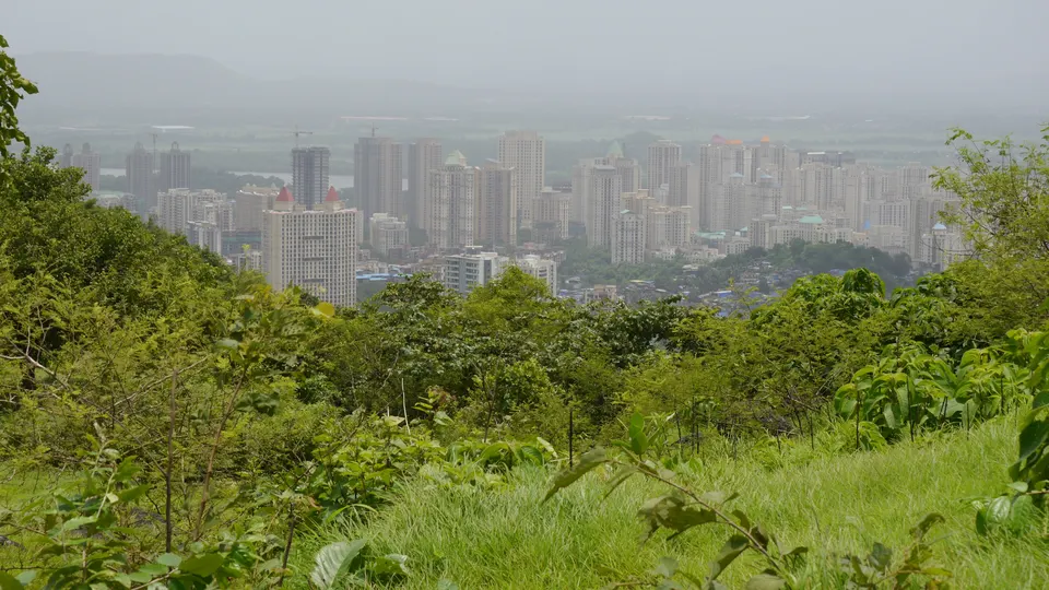 High-rise buildings of Thane city seen beyond the greenery of the Yeoor hills