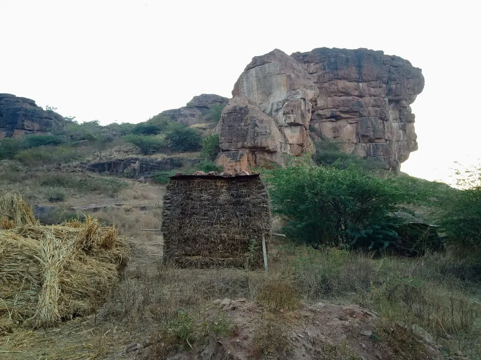 चाऱ्याची गंज