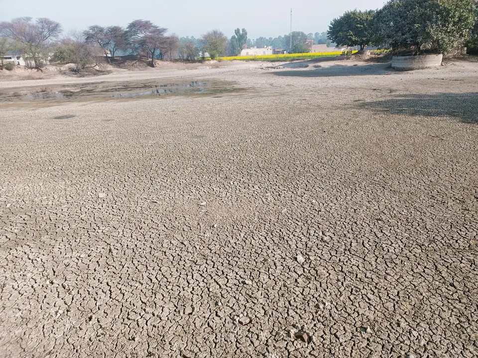 कोरडा पडलेला तलाव