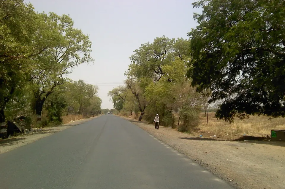 दोन्ही बाजूंना झाडे असलेला महामार्ग