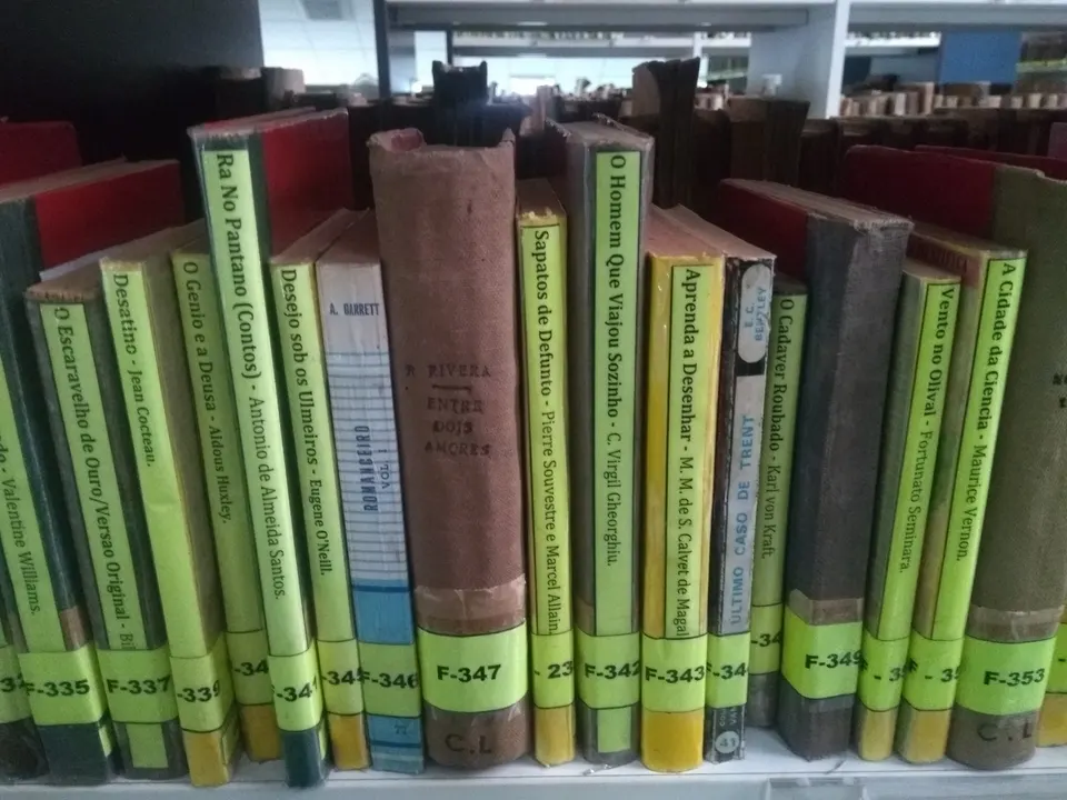 ग्रंथालयातील कपाटात रचलेली पुस्तके