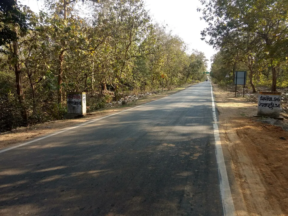 आलापल्लीजवळच्या जंगलातून जाणारा रस्ता