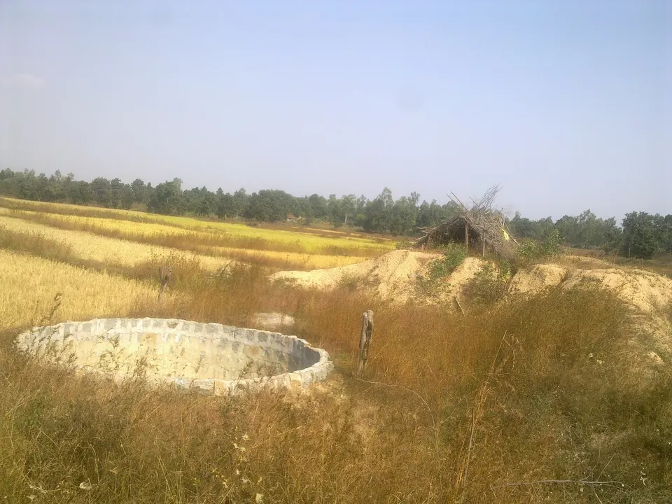 शेतातील विहीर
