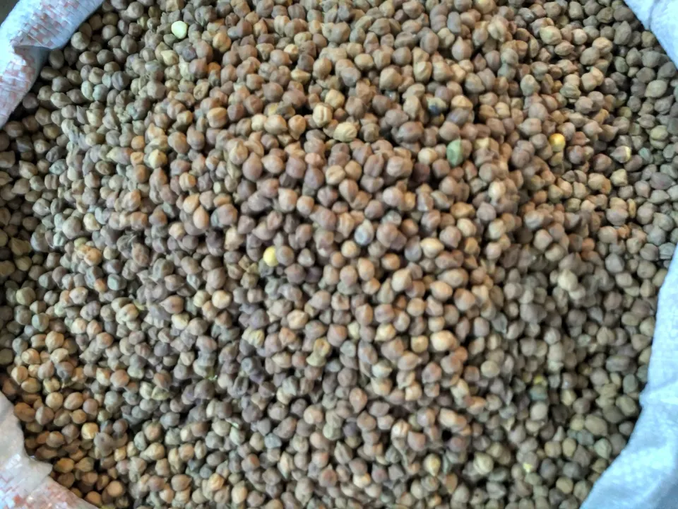 हरभऱ्याचे दाणे