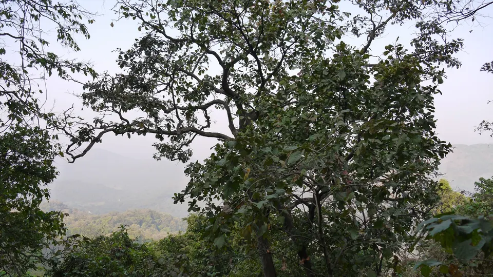 कर्नाळ्याच्या डोंगरावरून दिसणारा पनवेल परिसर