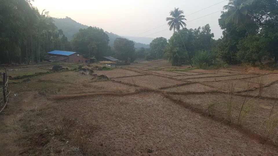 रत्नागिरी जिल्ह्यातील गावातील कोरडी शेते