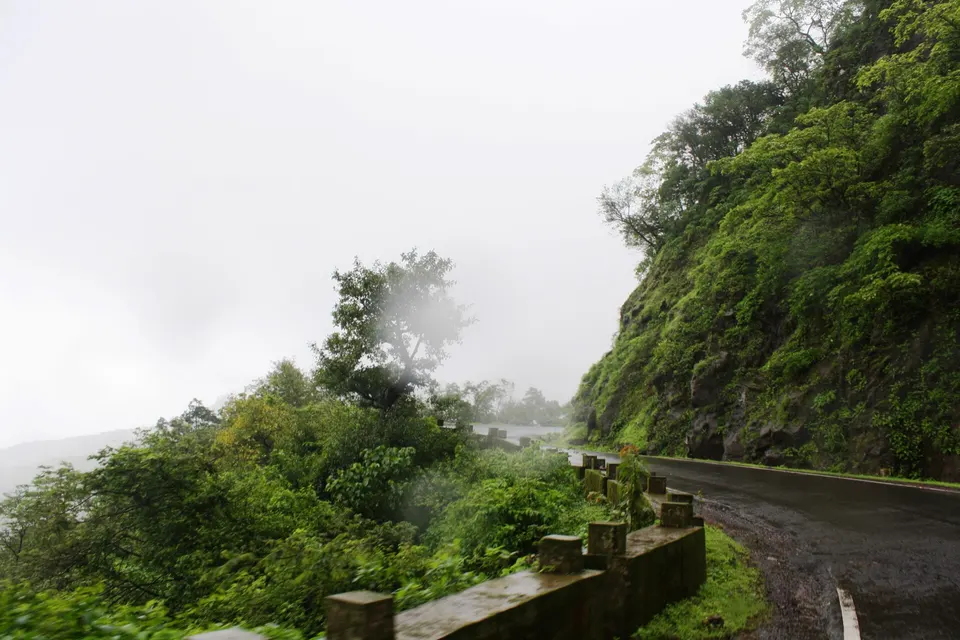 सह्याद्रीच्या डोंगरातील जंगलातून जाणारा रस्ता
