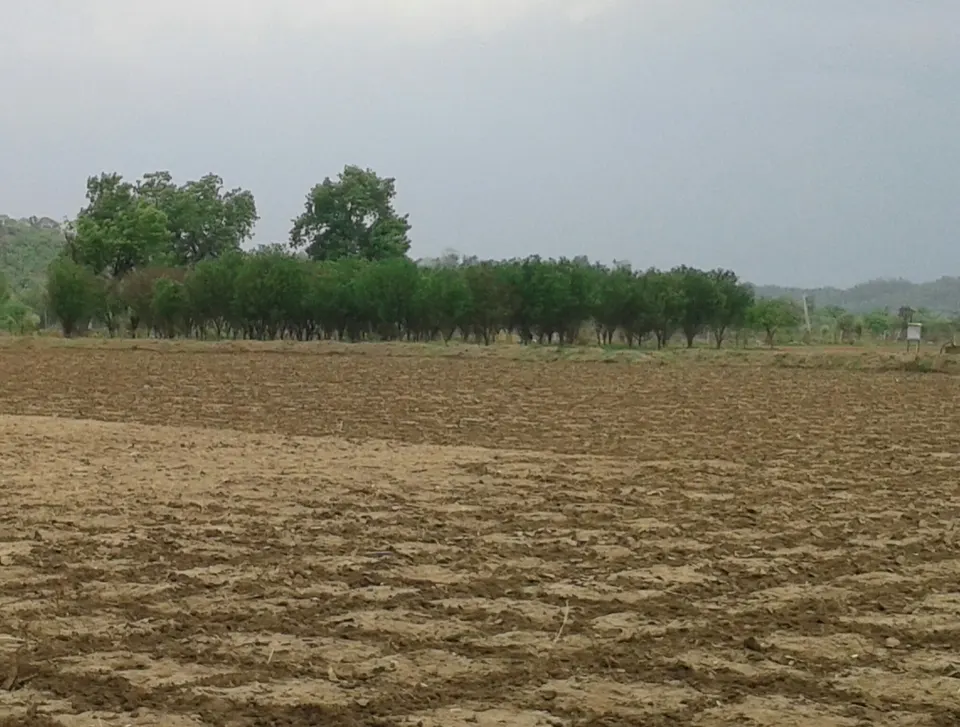 विदर्भातील शेतजमीन
