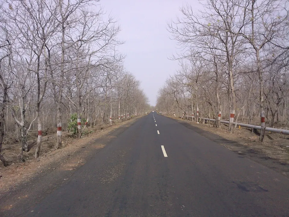 यवतमाळमधील एक रस्ता